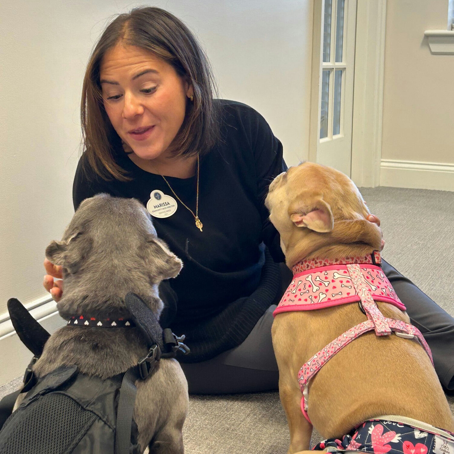 A staff member at Arbor Terrace Norwood smiles while greeting two small visiting dogs, reflecting the pet-friendly senior living community in Norwood, NJ.
