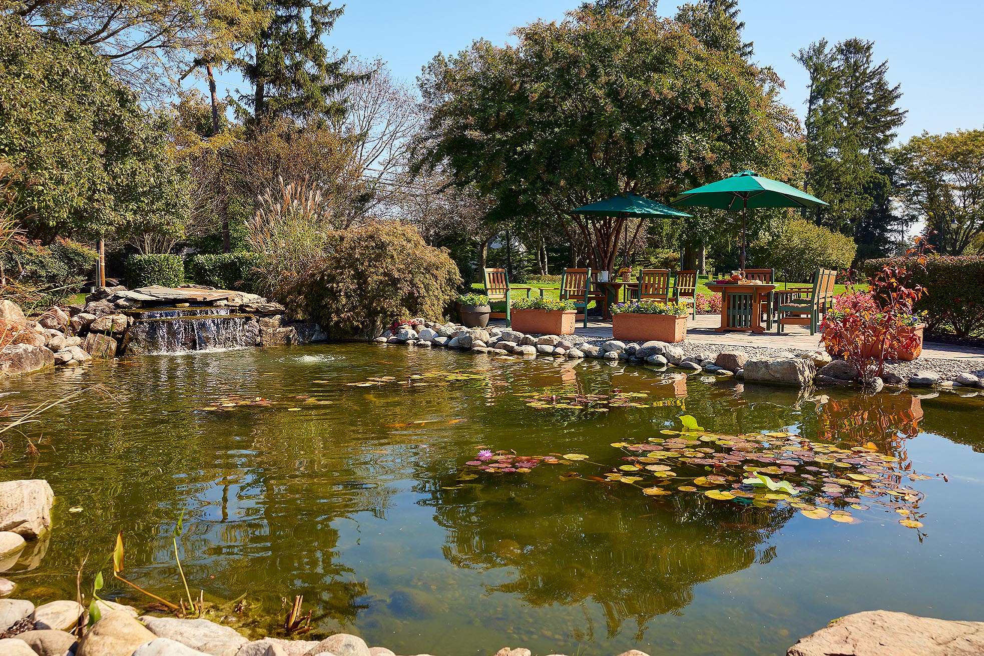 Patio tables with umbrellas next to the koi pond